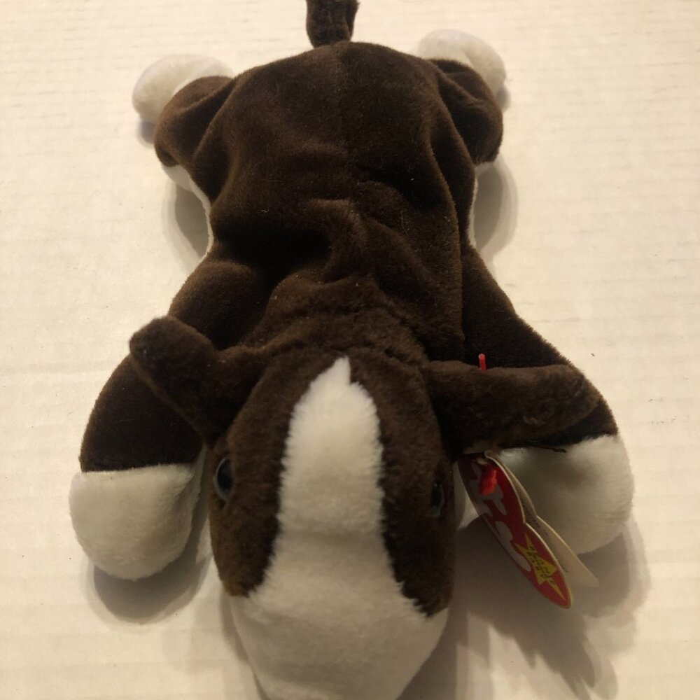 Ty new beanie baby Bruno the Bull Terrier dog 1997 with true errors - Picture 3 of 16